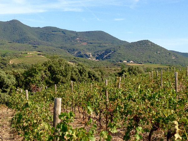 Domaine du Météore