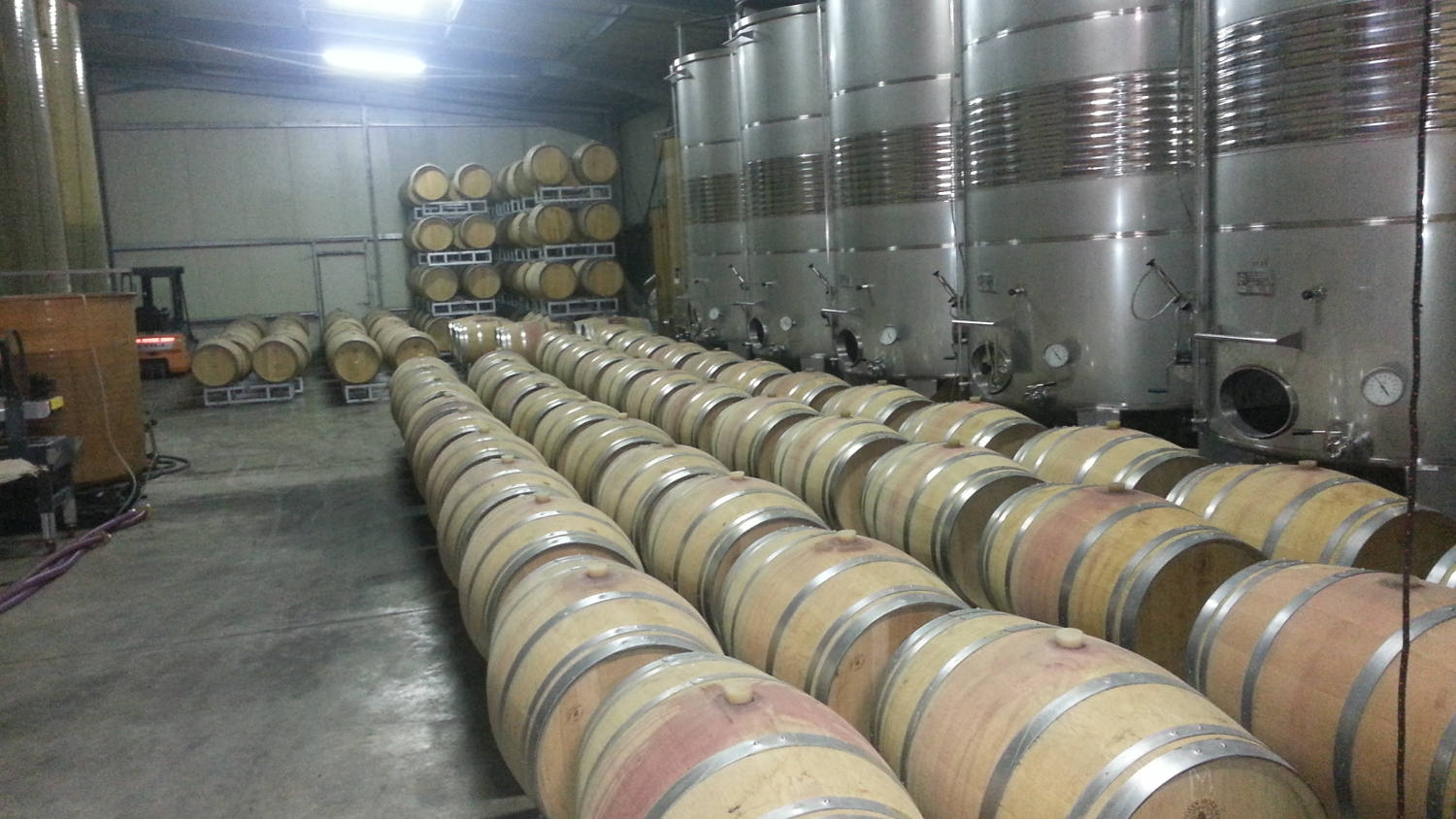 Domaine Le Fort