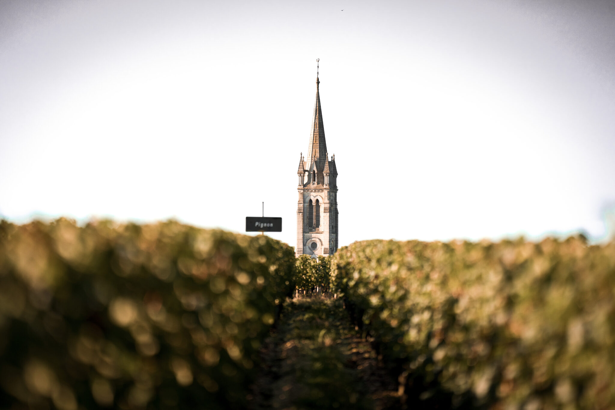 Château La Fleur de Gay