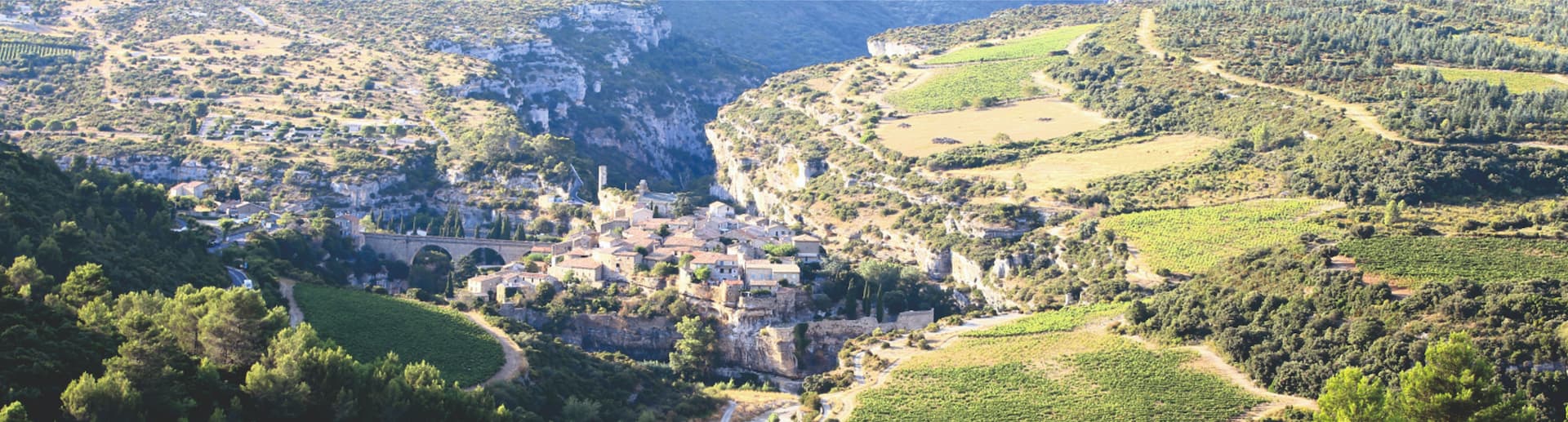 Domaine Sainte Leocadie