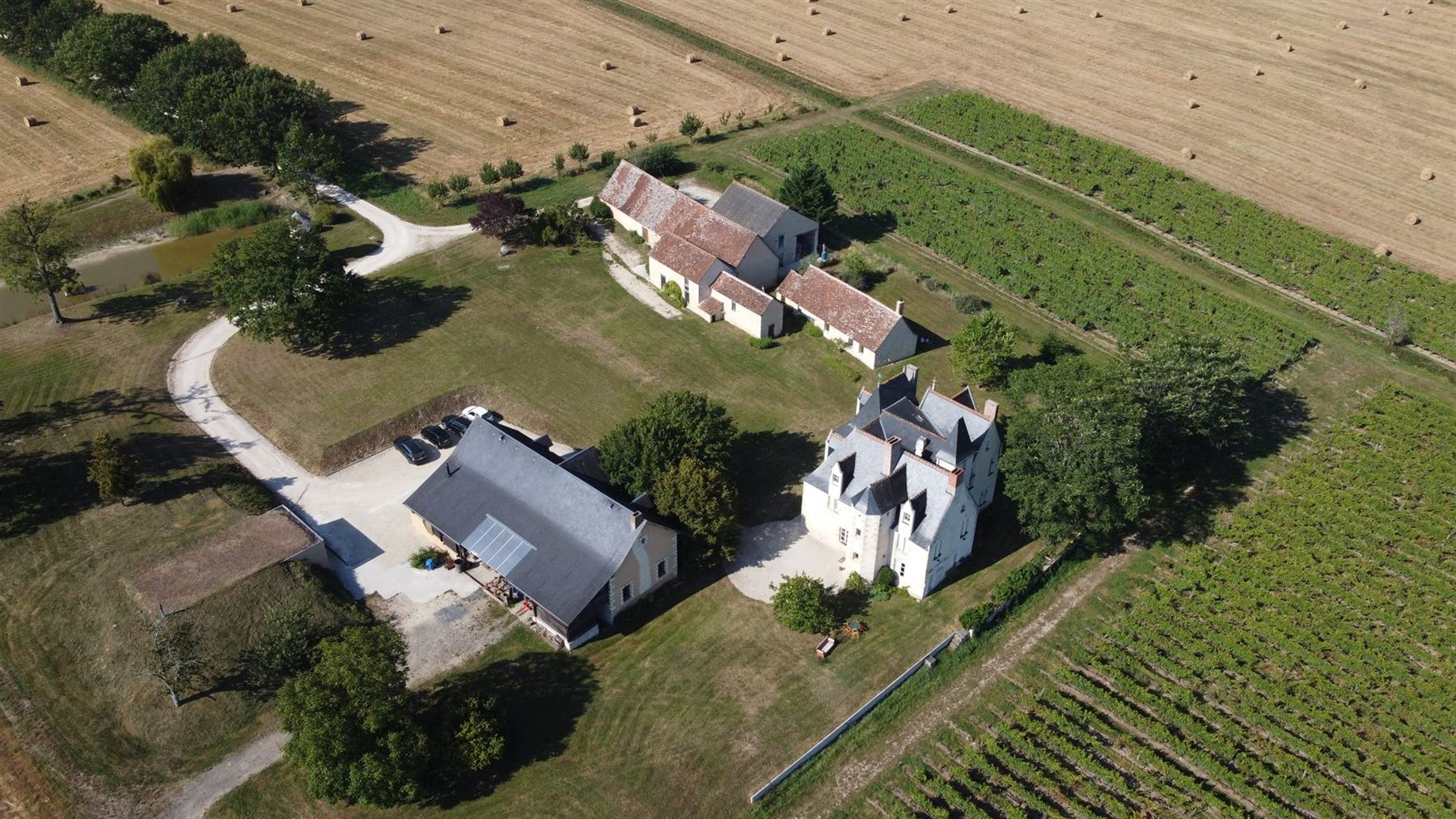 Château de la Roche-en-Loire