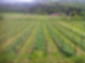 Domaine Pichard