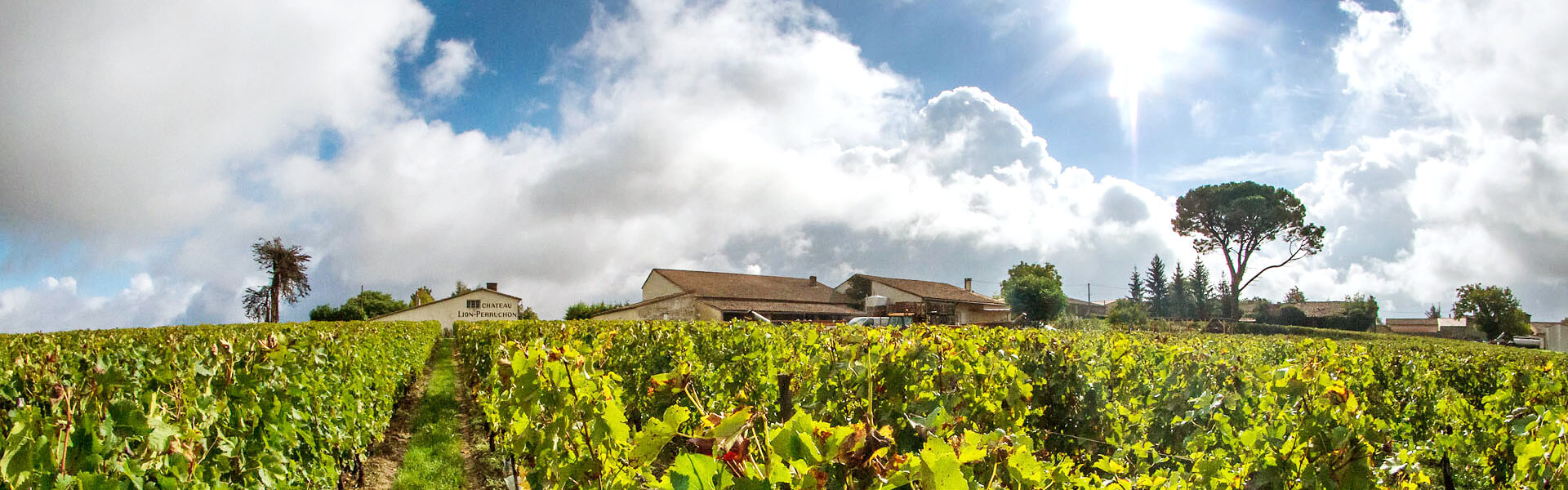 Chateau Lion Perruchon