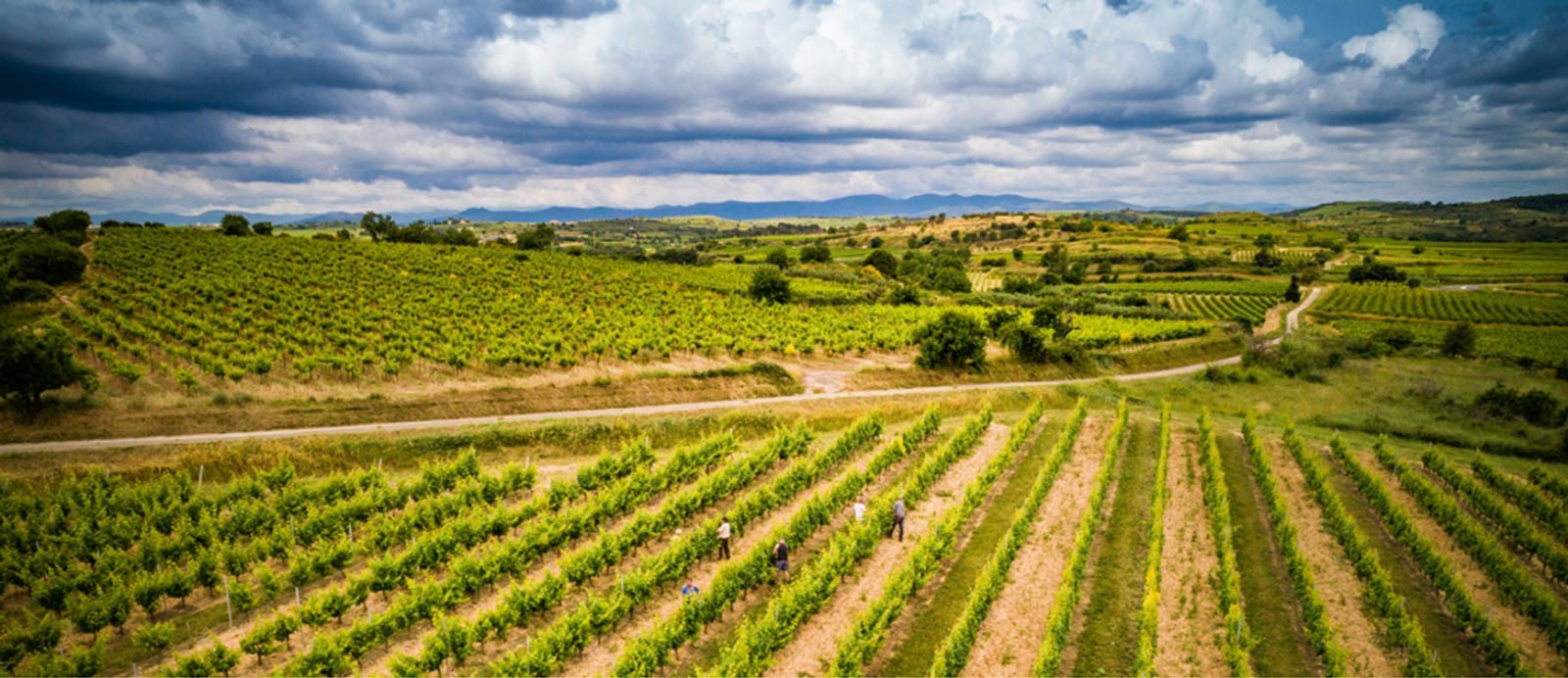 Domaine de l'Arjolle