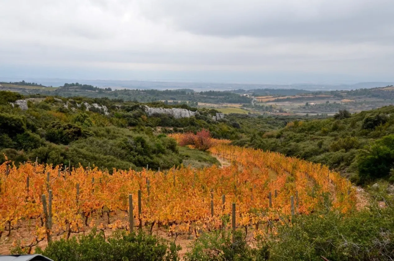 Domaine les Combes Cachées