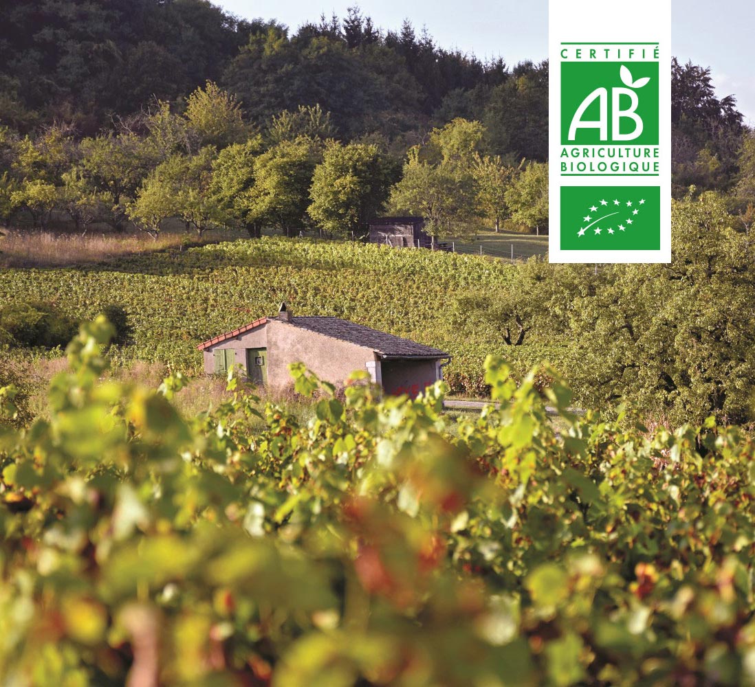 Domaine Claude Vosgien