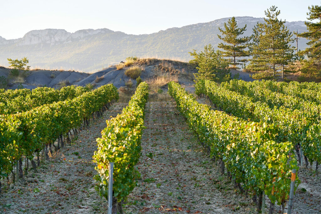 Domaine de Rieu Frais
