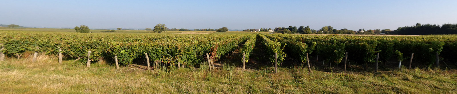 Domaine de la Croix Mélier