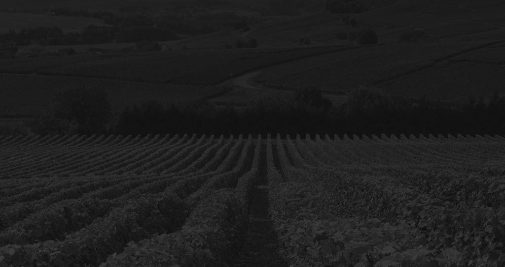 Champagne Pierre Moncuit