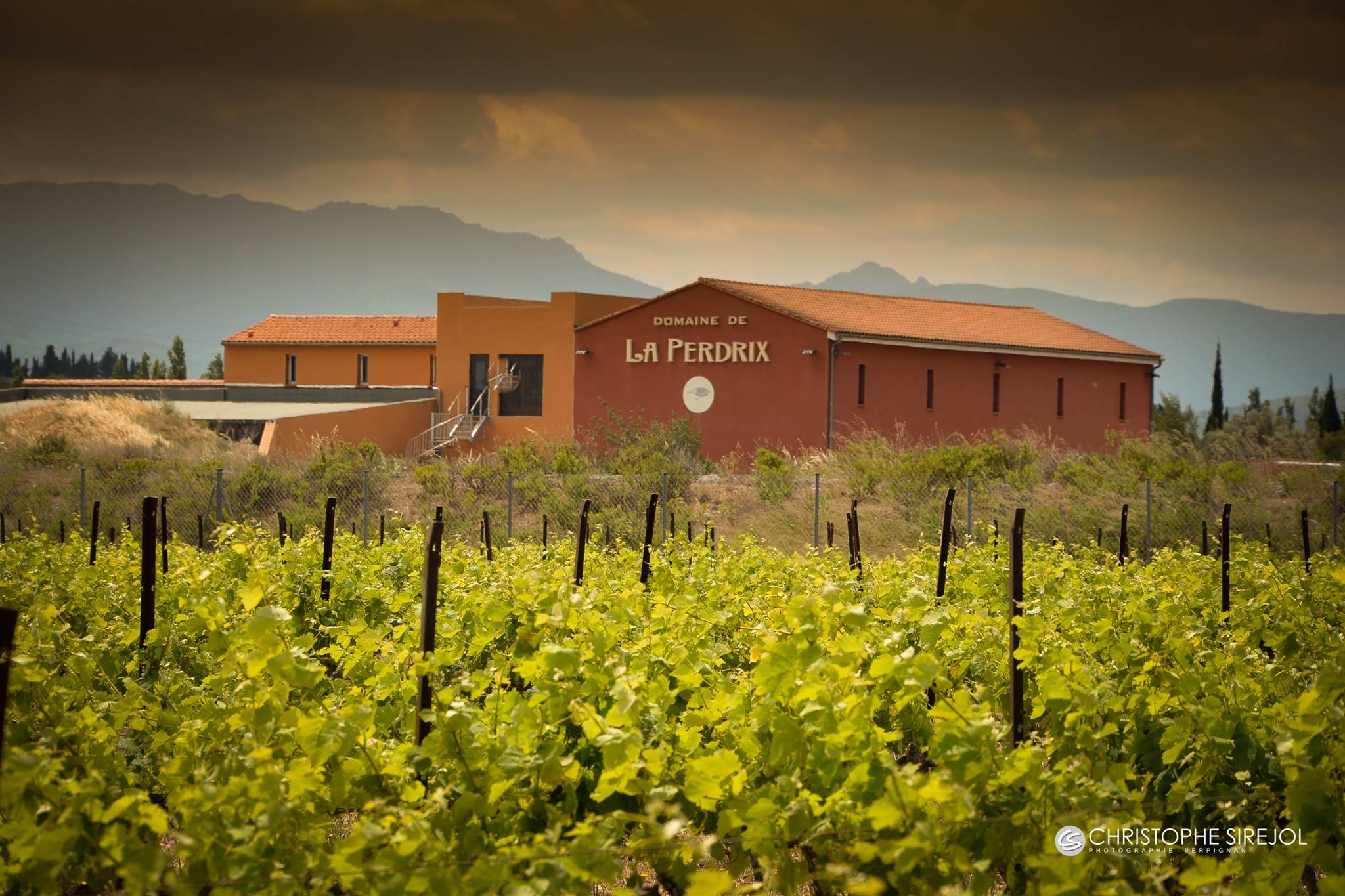 Domaine de La Perdrix