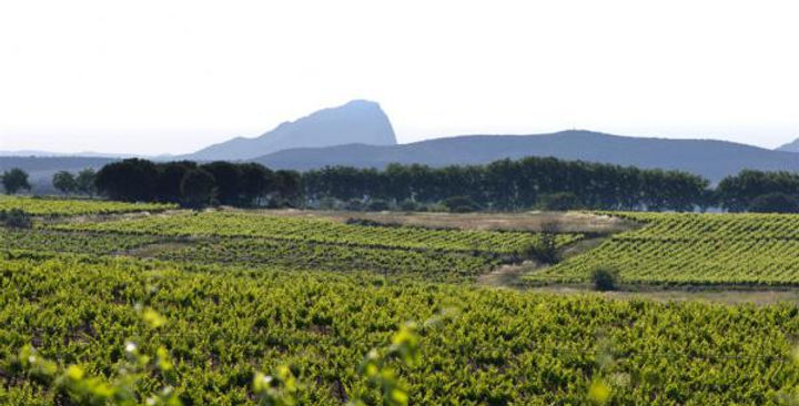 Domaine Rouger