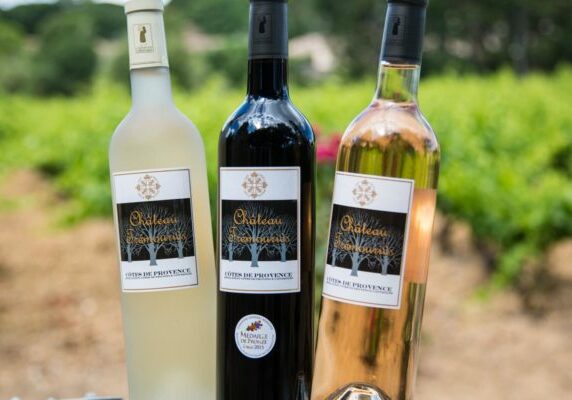 Chateau Tremouries