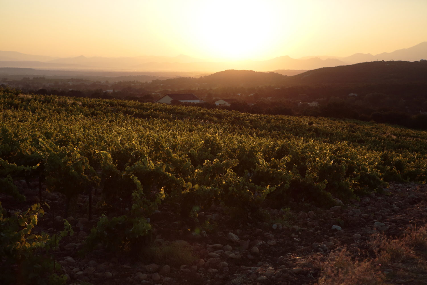 Domaine Maby