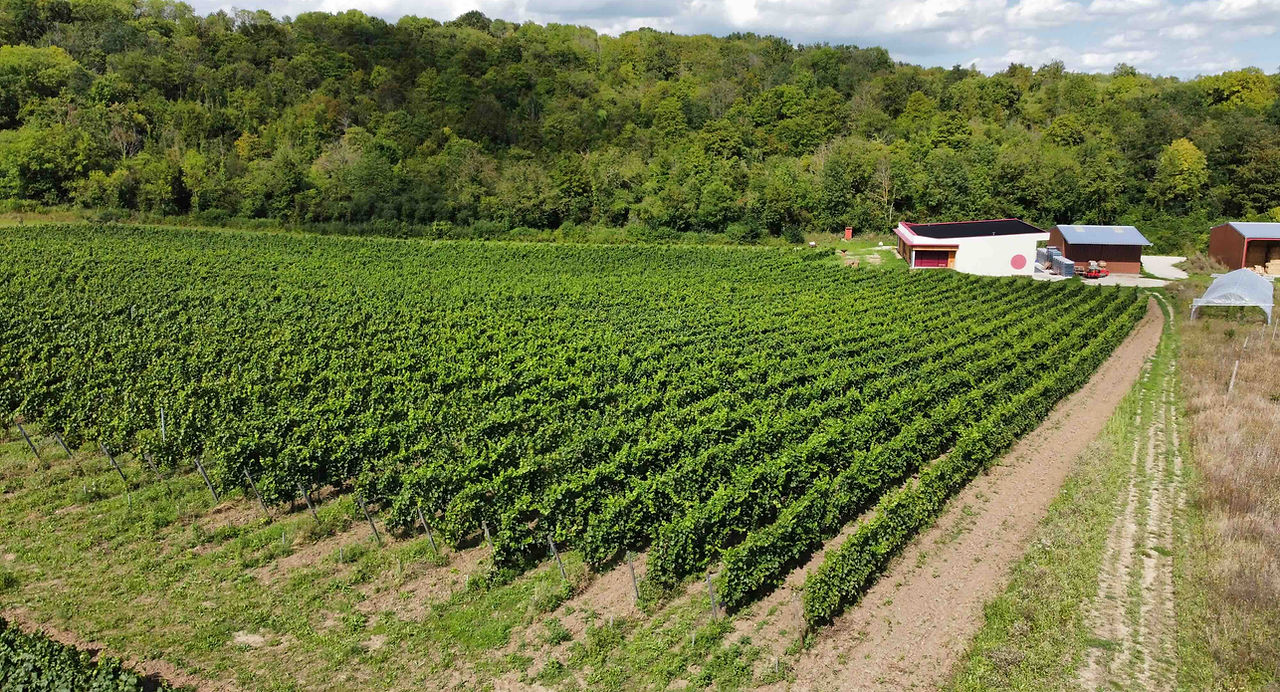 Les Coteaux du Montguichet