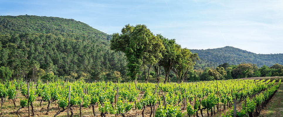 Clos Mirages