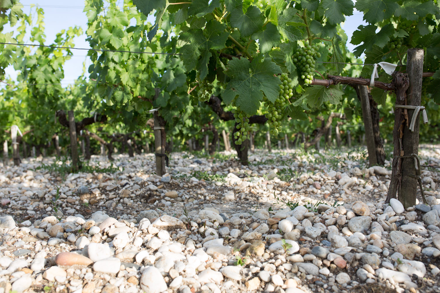 Chateau Dutruch - Grand Poujeaux