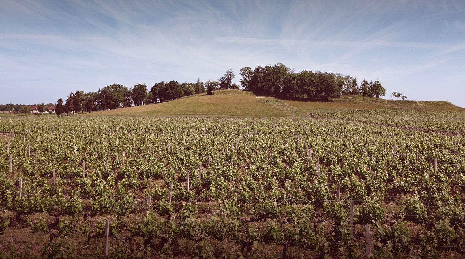 Château Blaignan