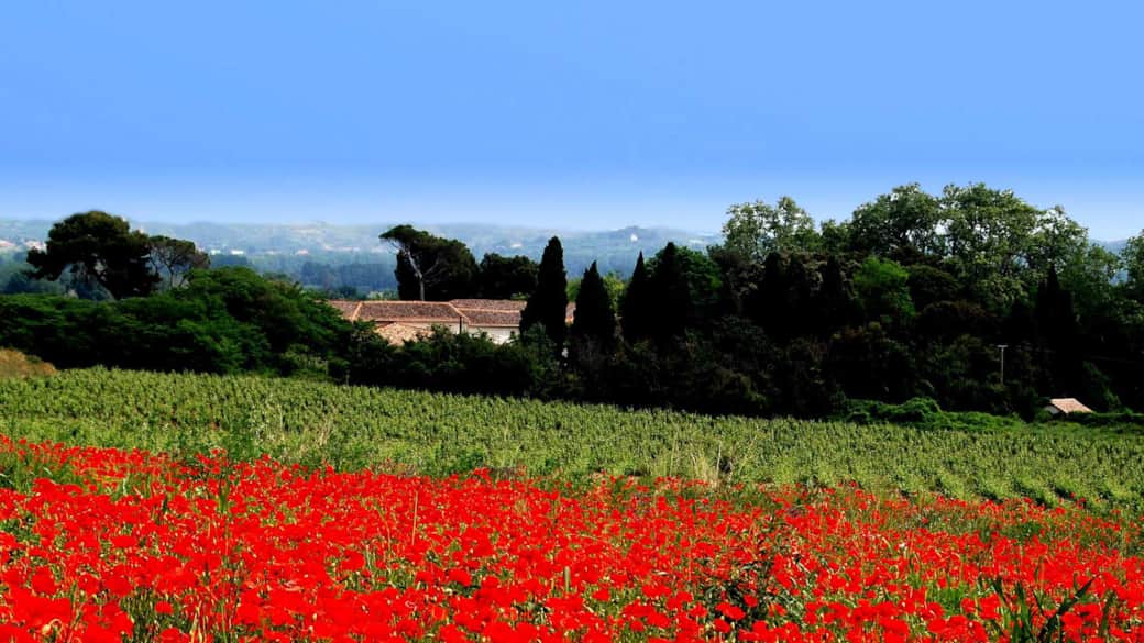 Domaine de Saint-Ferréol