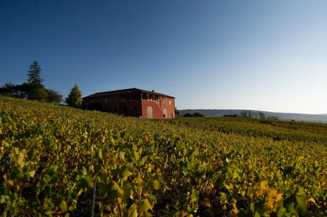 Arbillons Vignobles