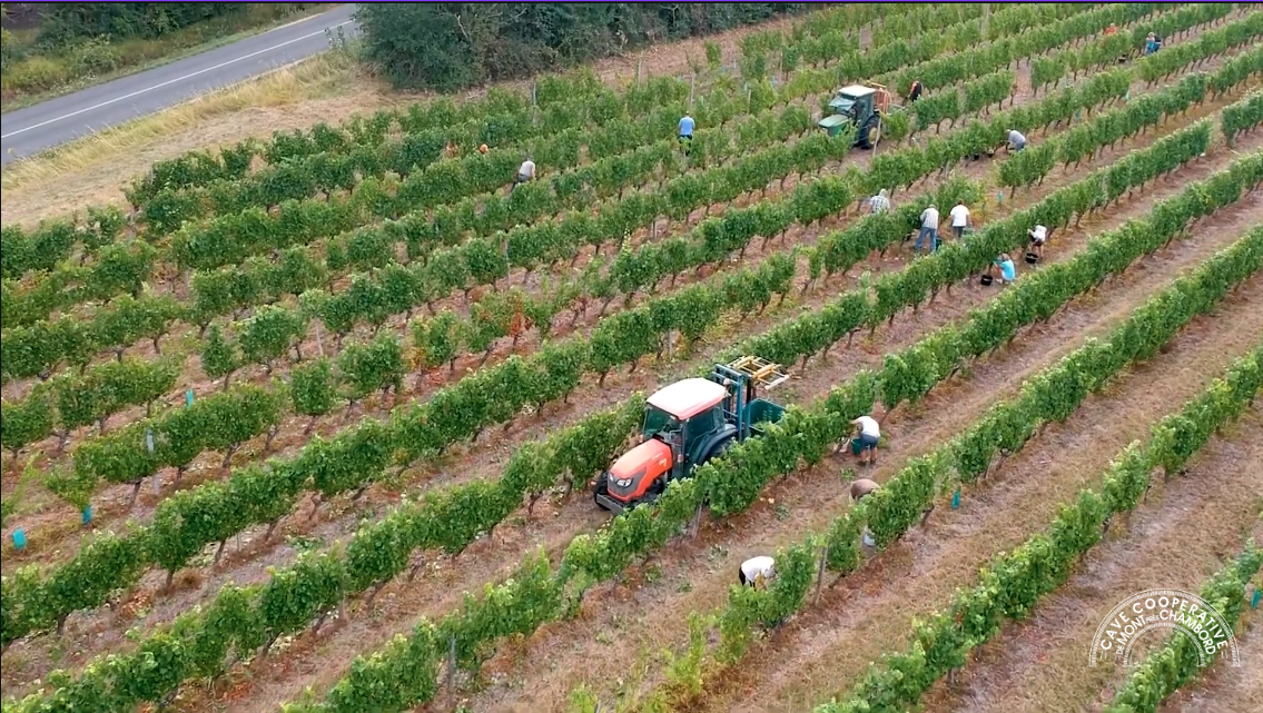 Cave coopérative Les Vignerons de Mont-près-Chambord