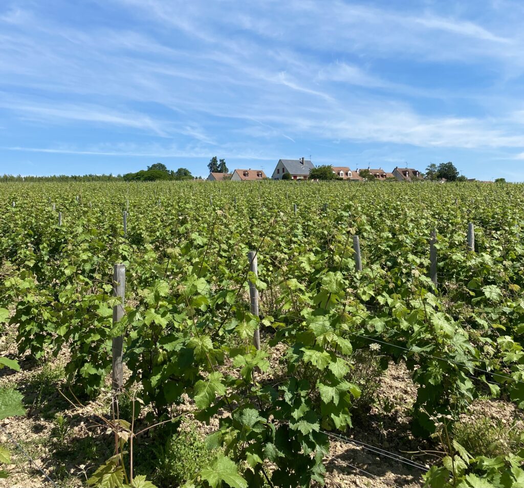Cave du Vendômois