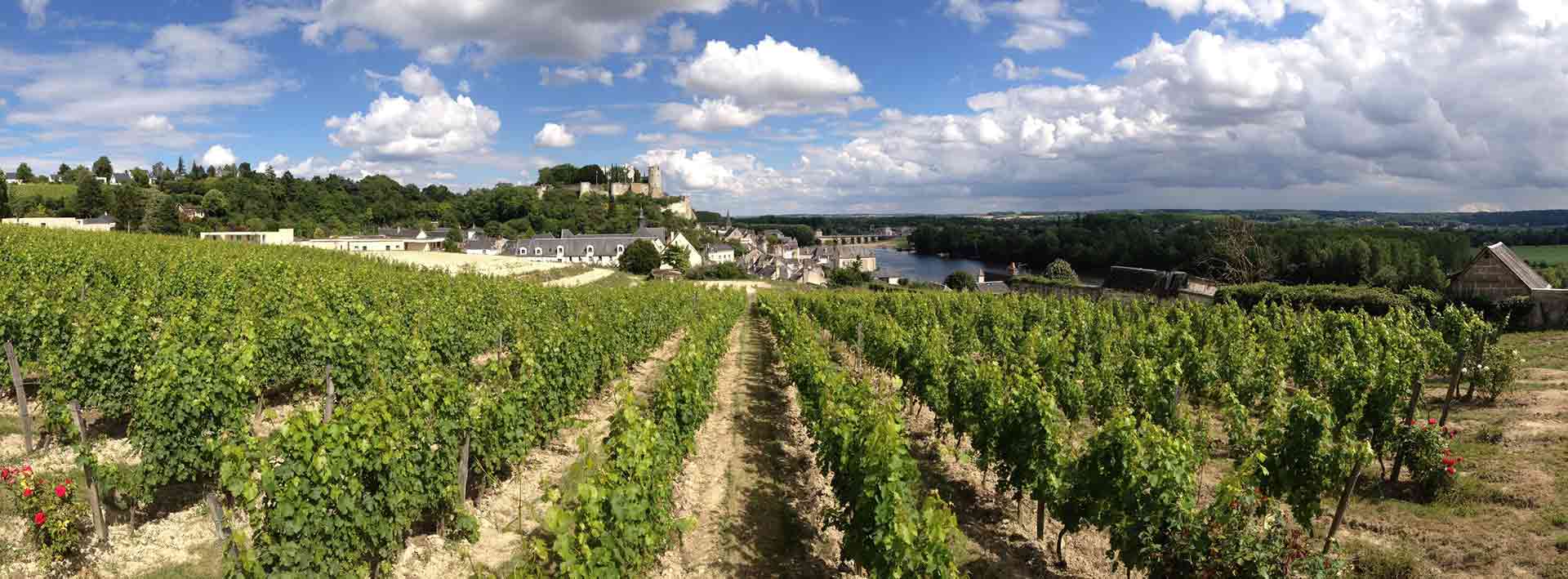 Cave Monplaisir