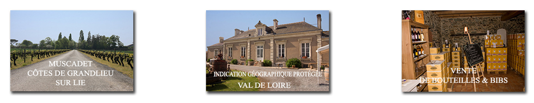 Chateau de Loriere