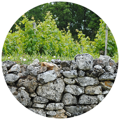 Clos des Cordeliers