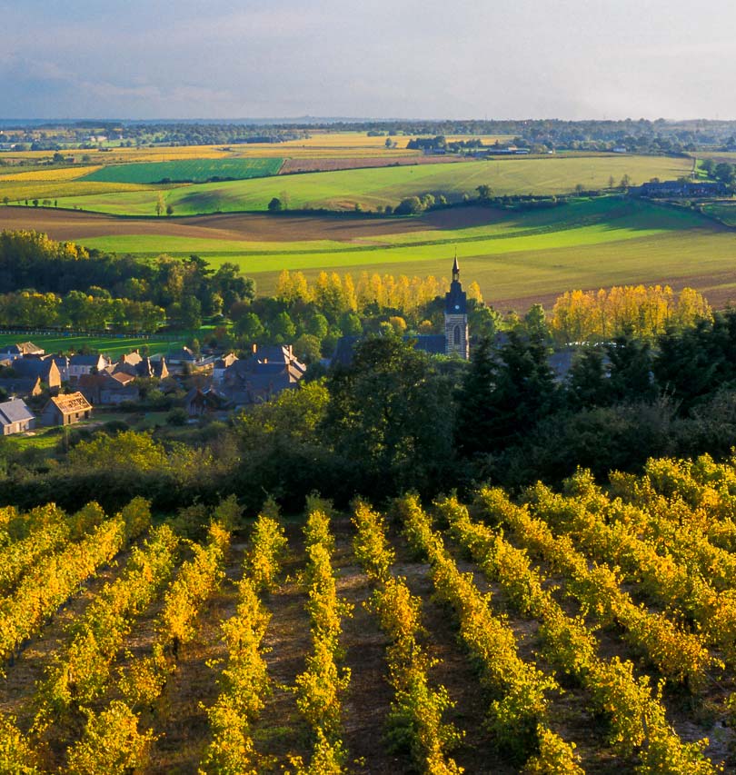 Domaine Aguilas