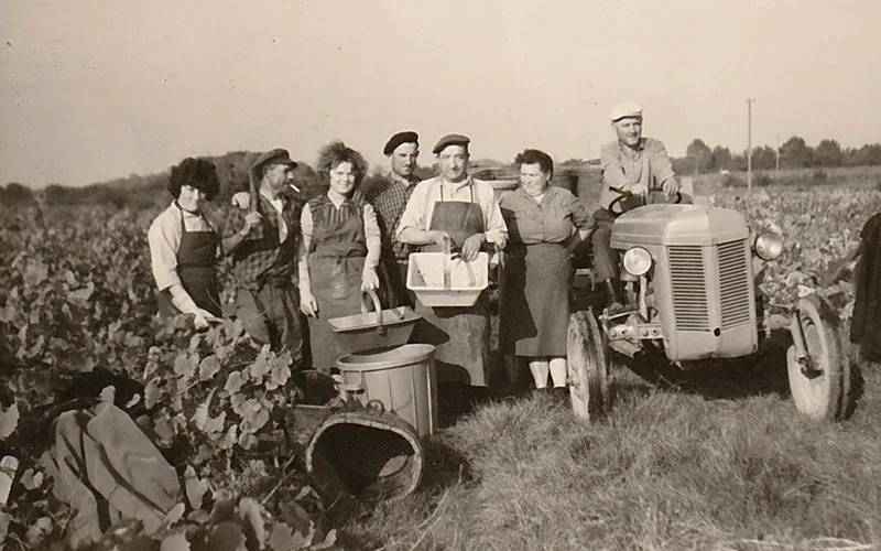 Domaine Bruno Cormerais