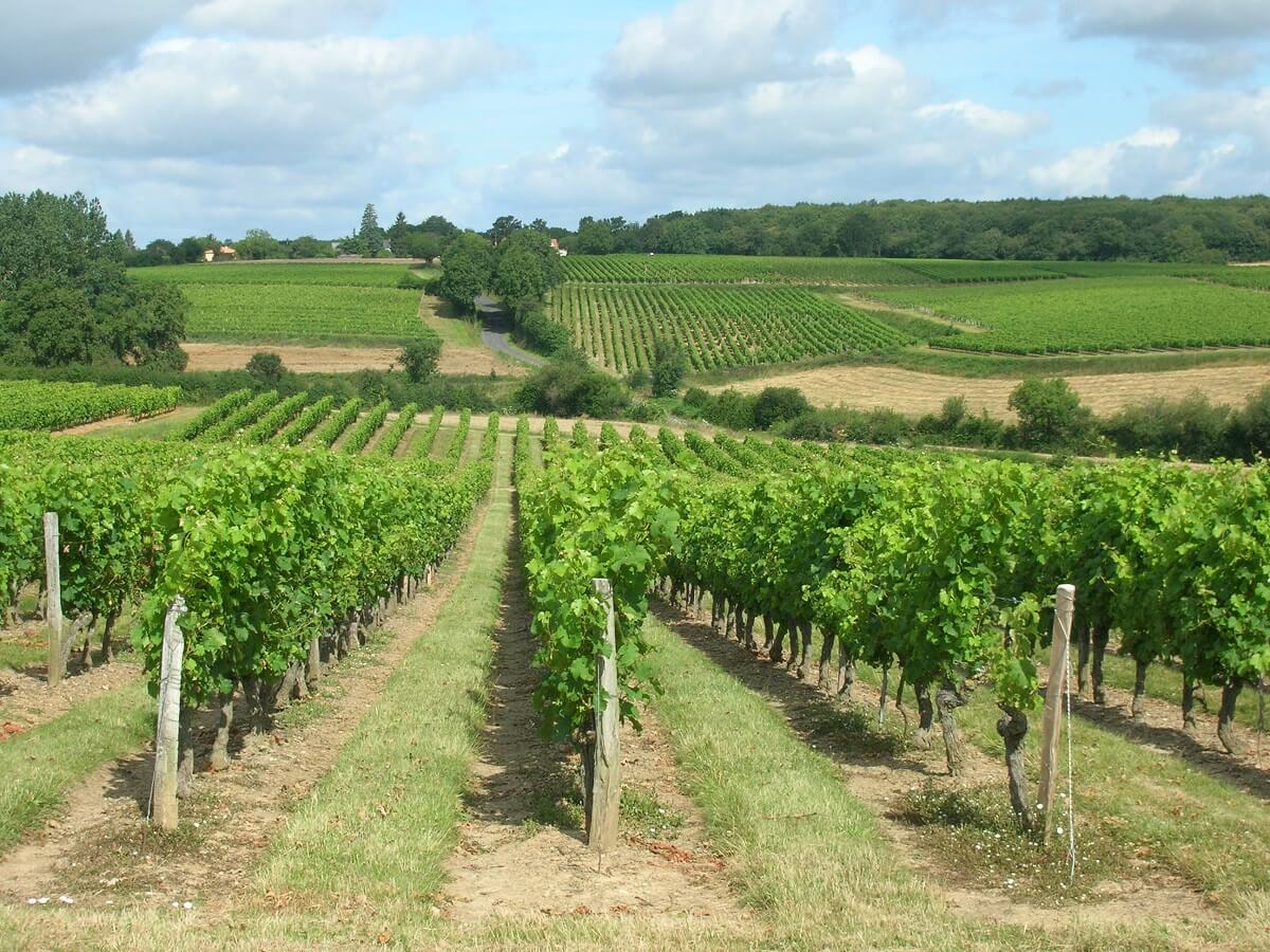 Domaine Chevrier