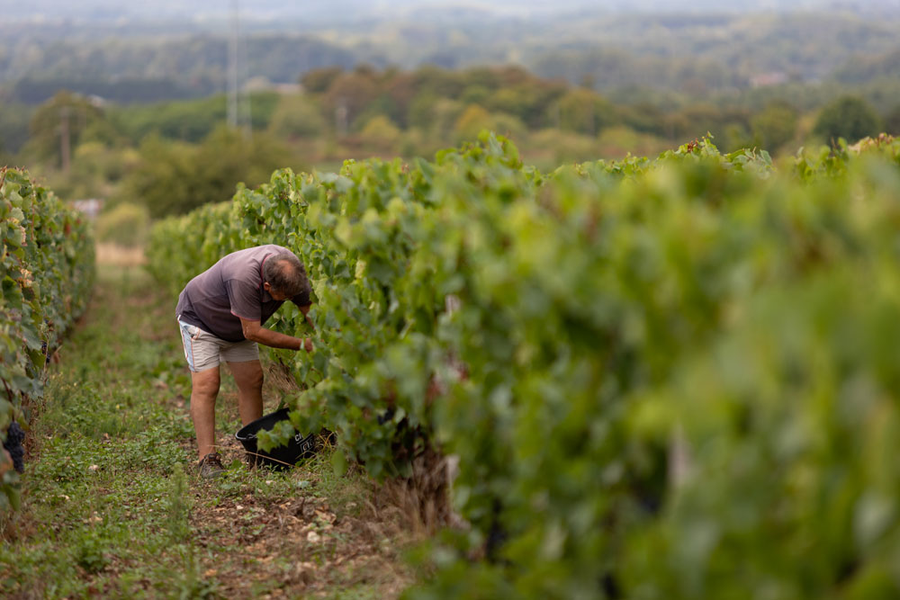 Domaine de Cézin