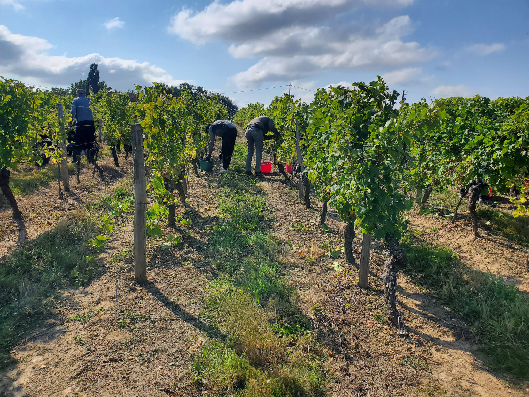 Domaine de Gatines