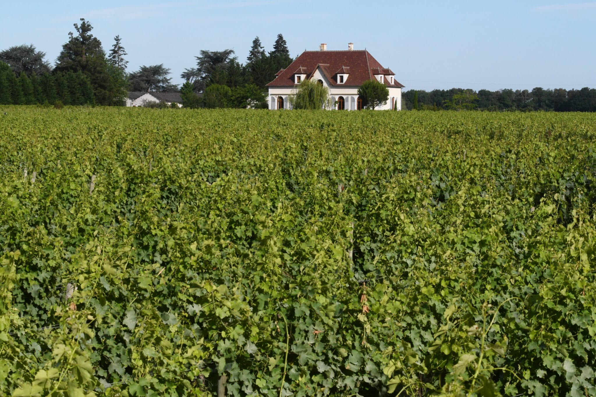 Domaine de la Charmoise