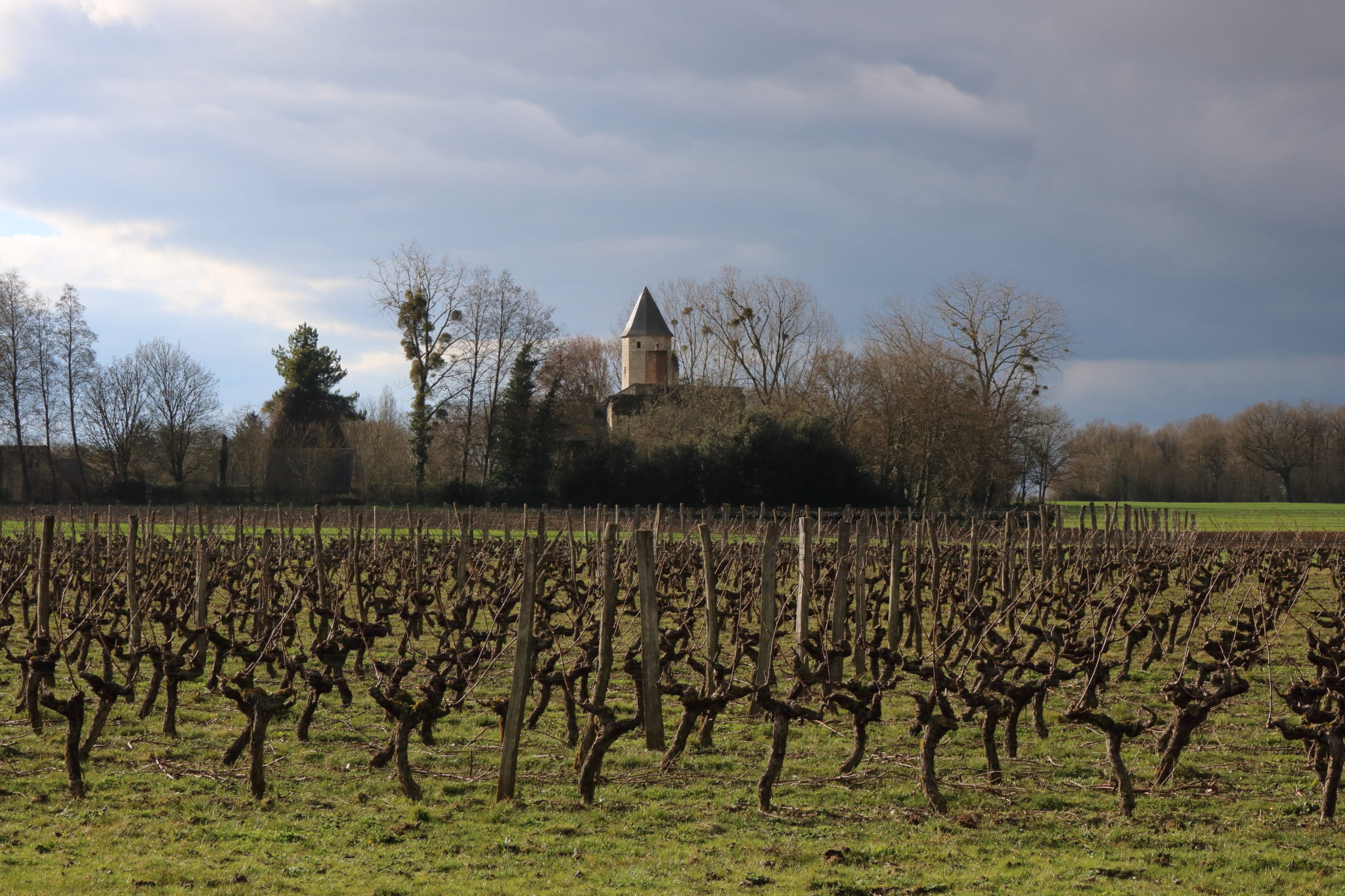 Domaine de la Grézille