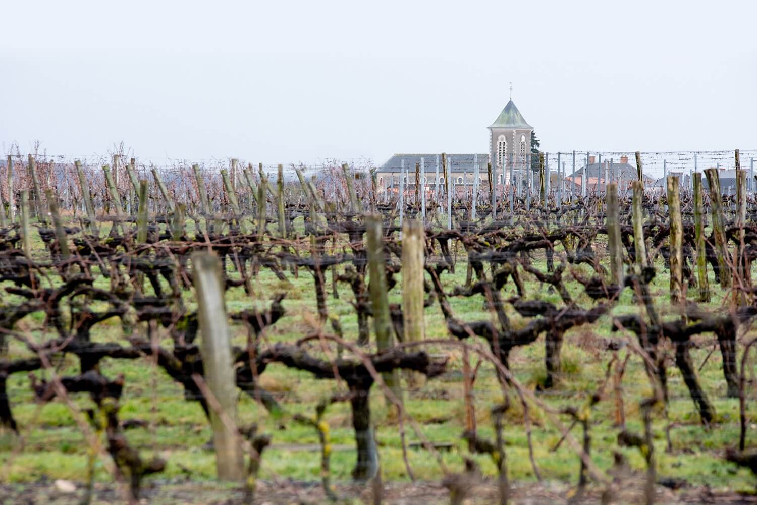 Domaine de la Montcellière