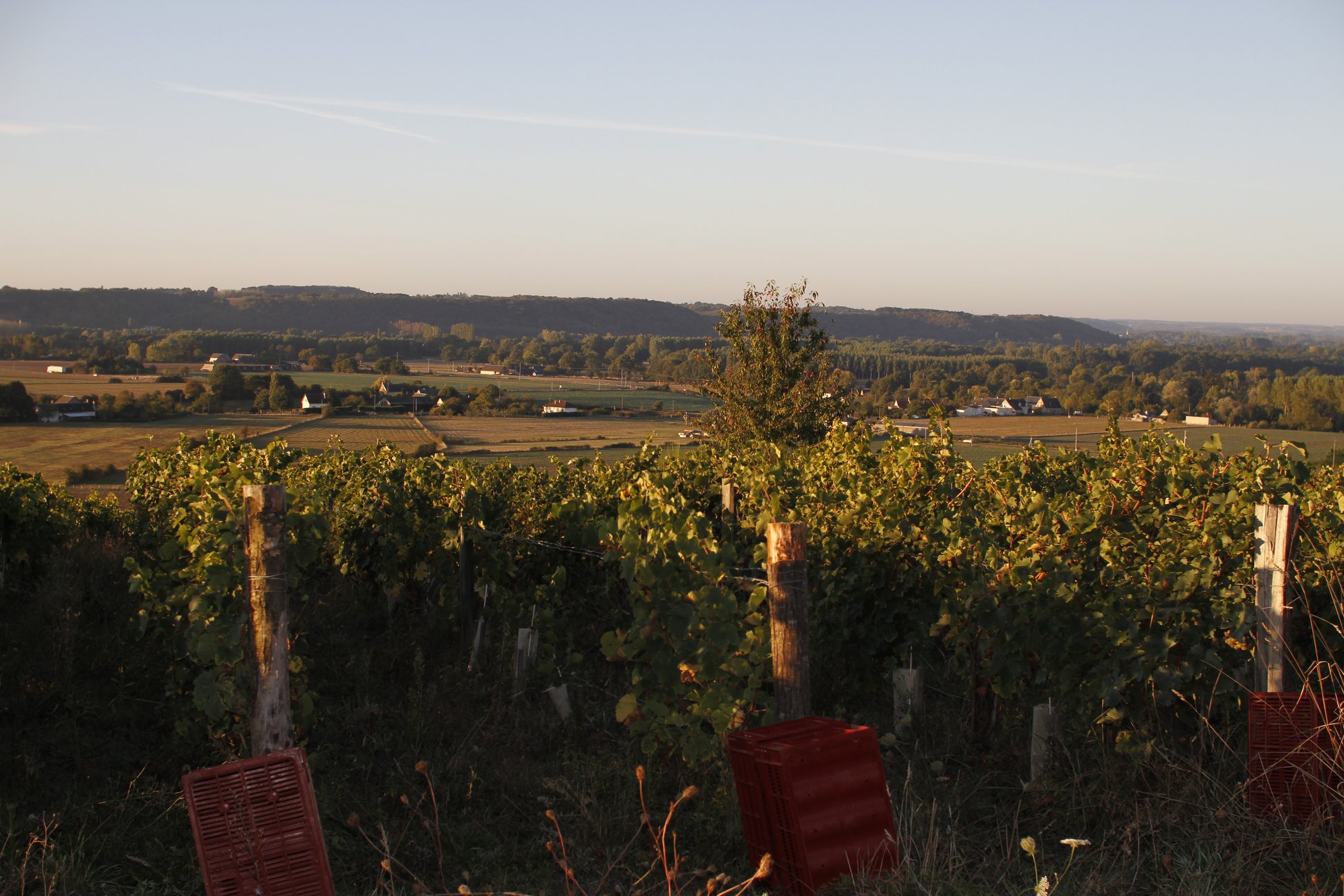 Domaine de la Roche Bleue