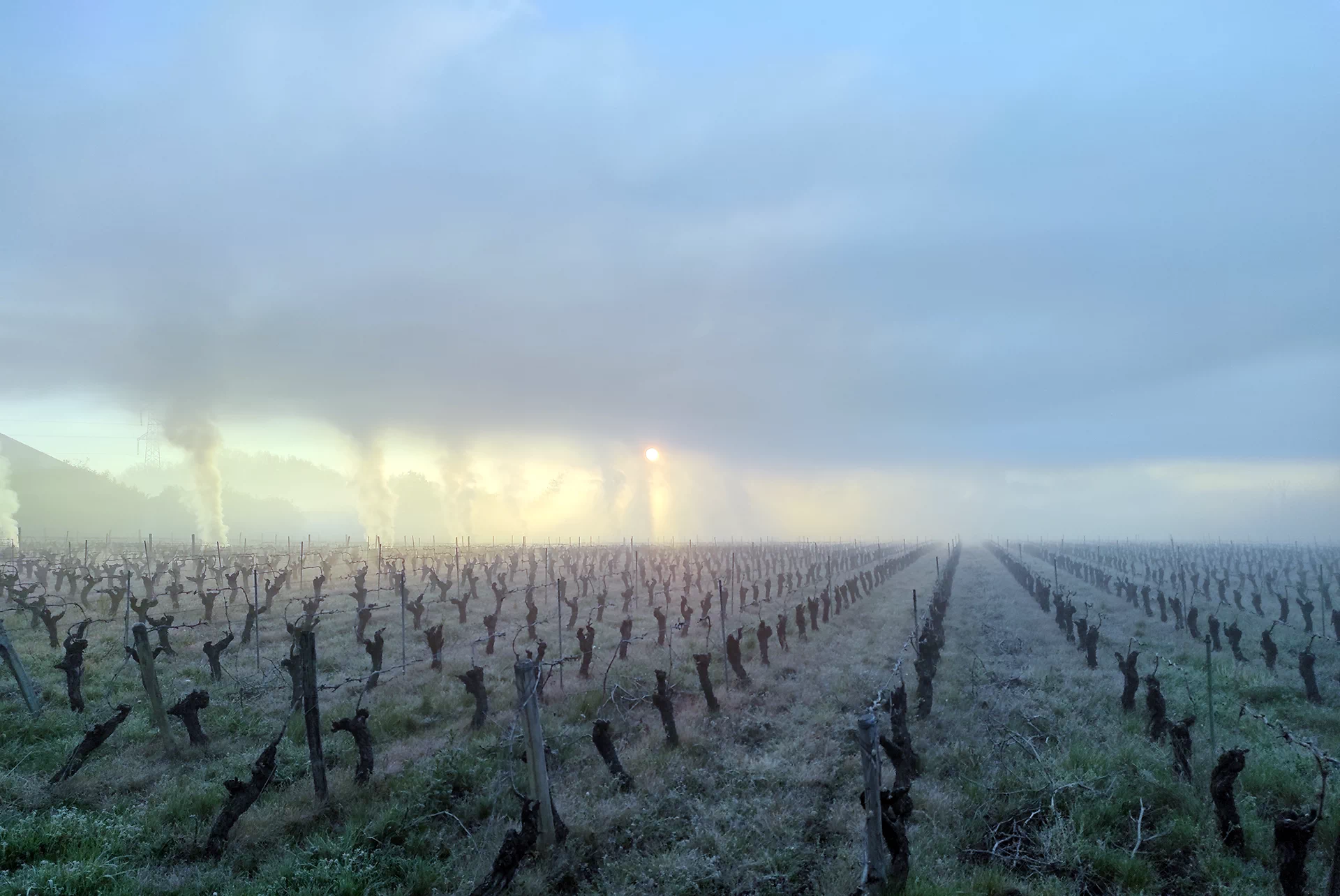 Domaine des Cormiers - EARL Loiret