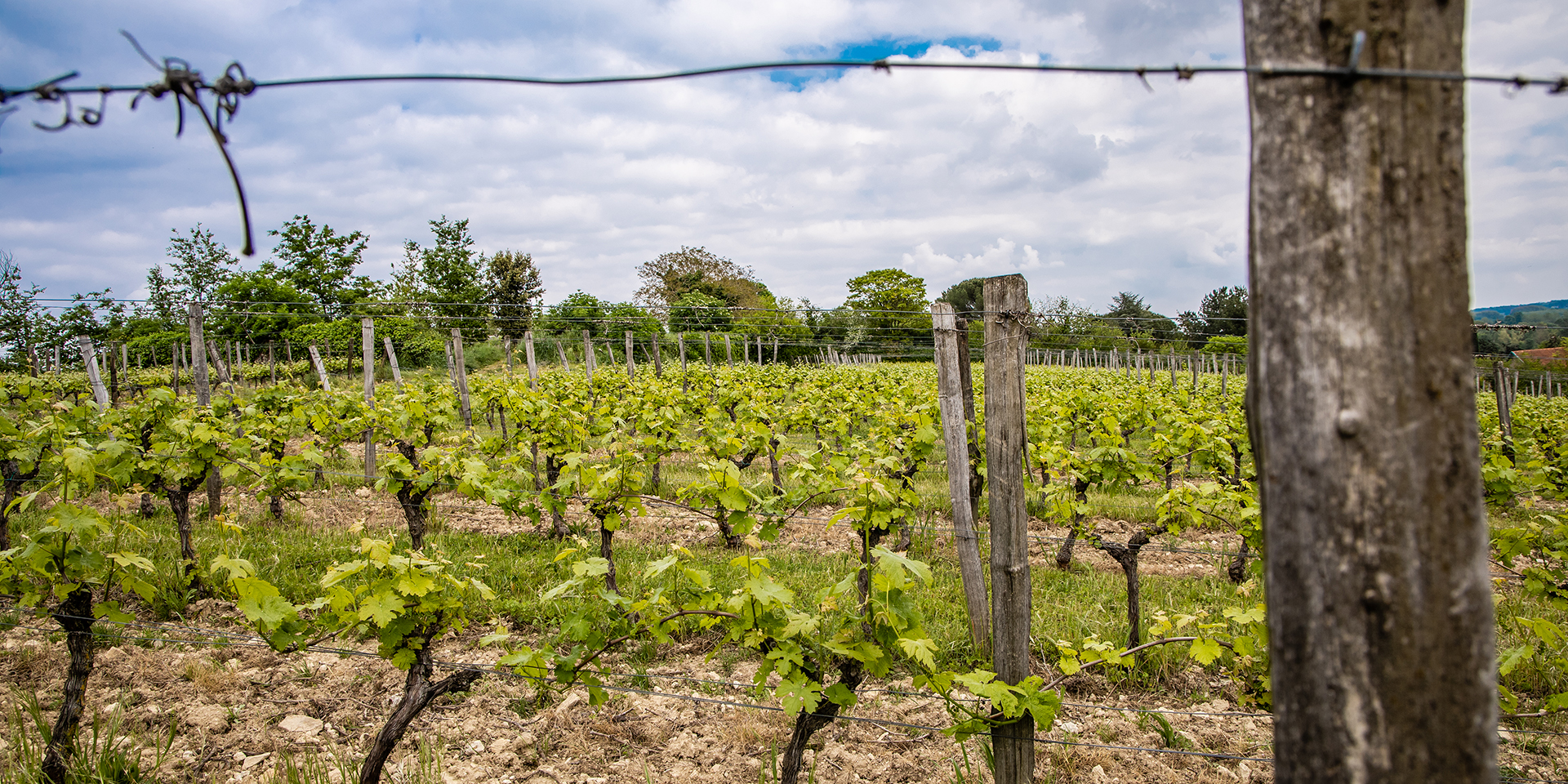 Domaine des Béguineries