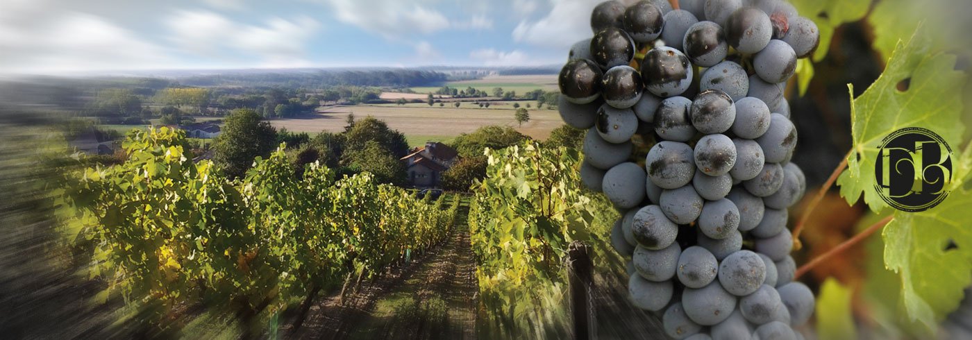 Domaine des Bénédictins