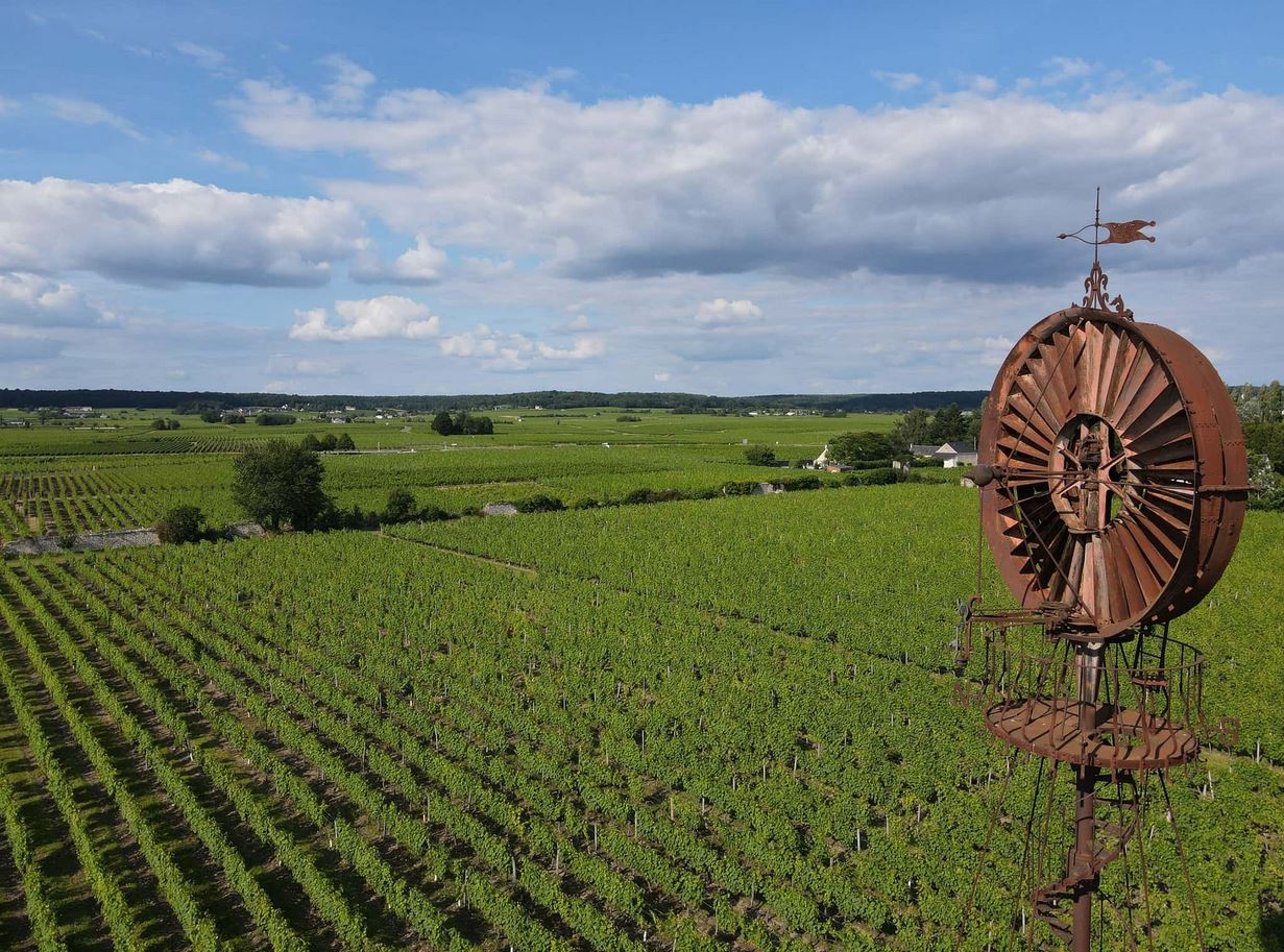 Domaine des Mailloches