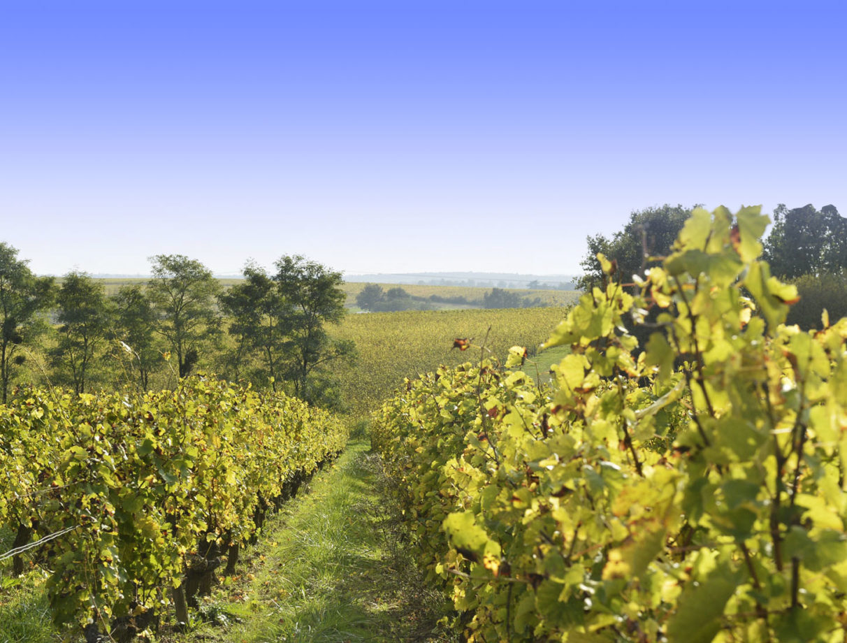 Domaine des Sablonnières