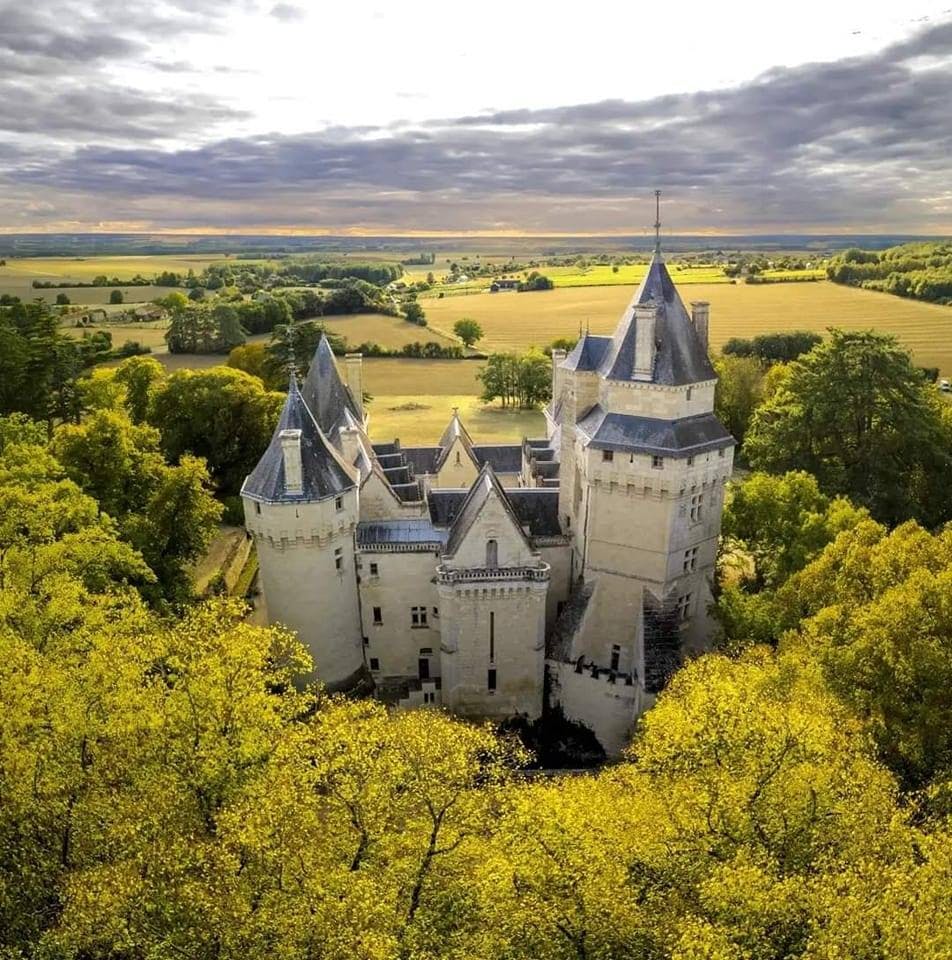 Domaine du Château de Montreuil-Bellay