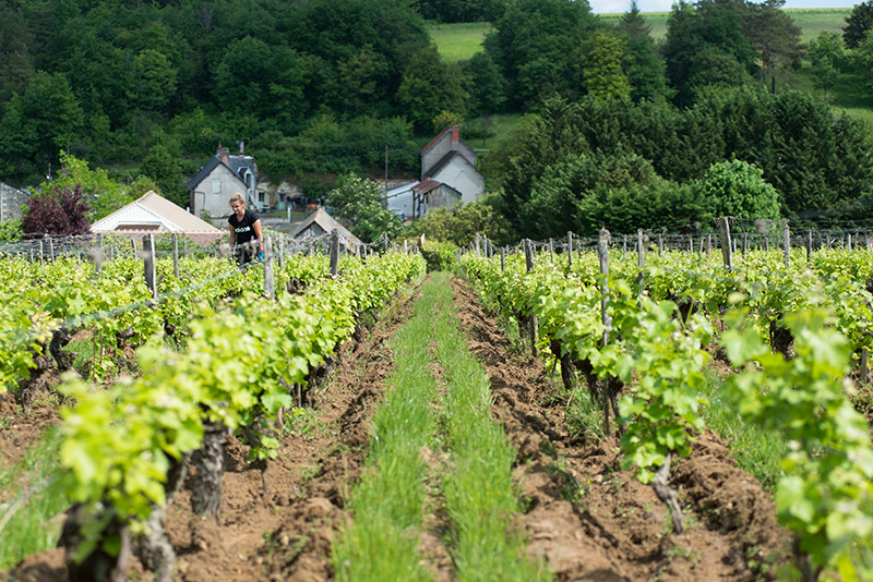 Domaine du clos roussely
