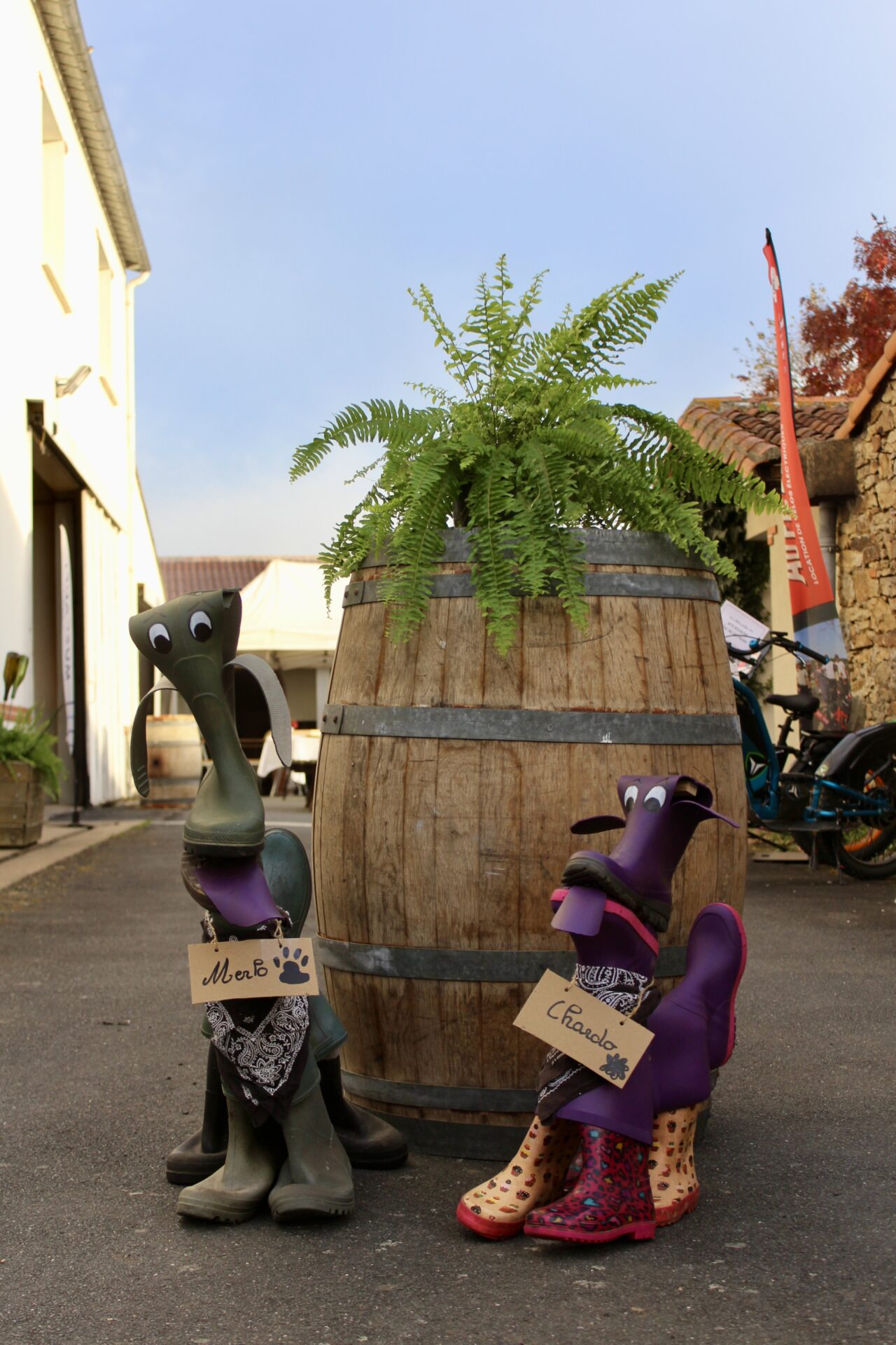 Domaine Florence et Joël Forgeau