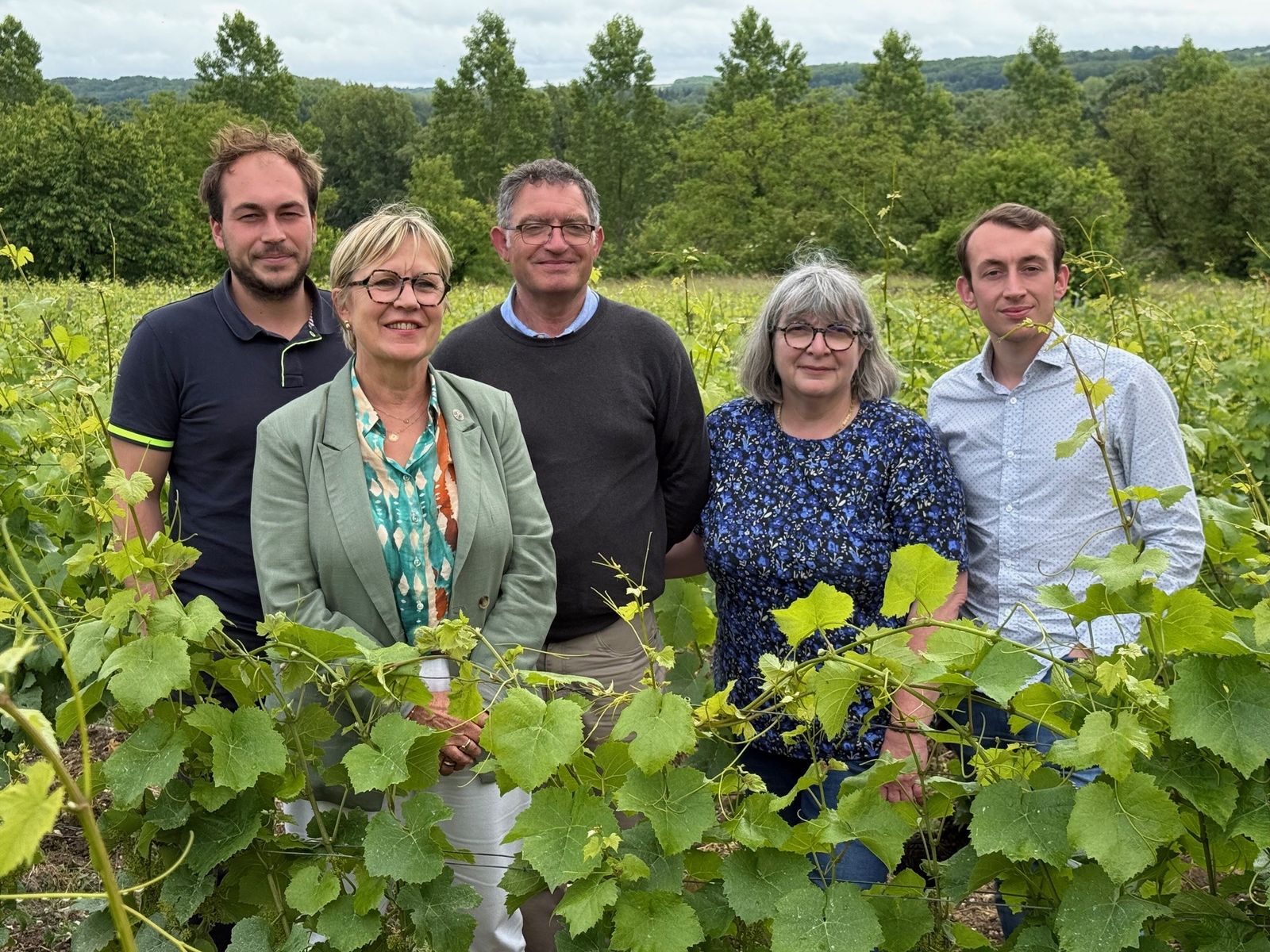 Domaine Michaud