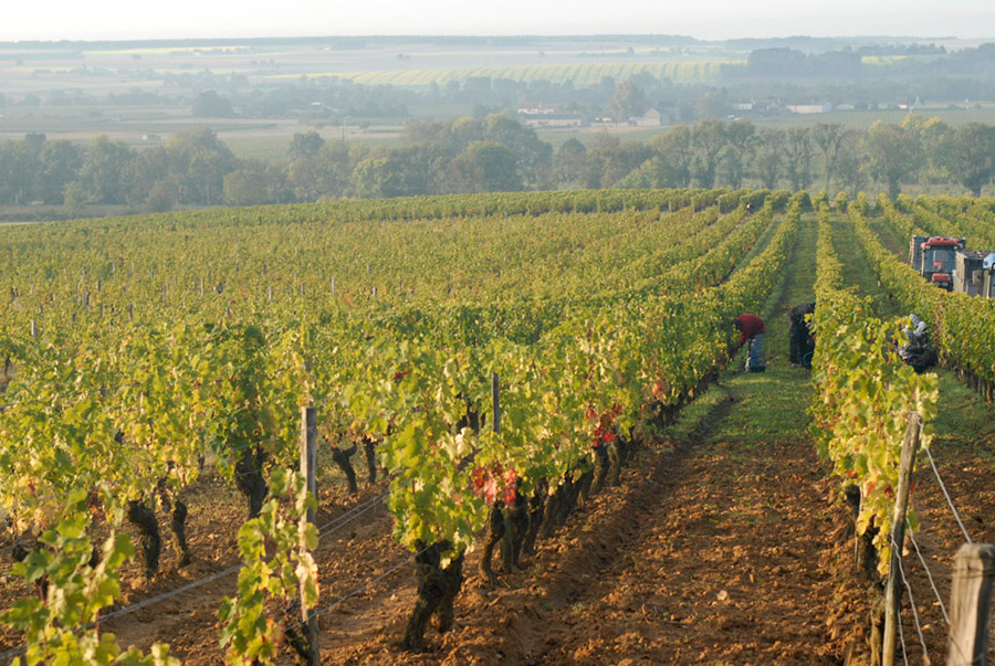 Domaine Pierre Sourdais
