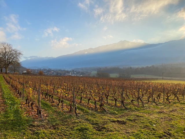 Domaine Bouvet