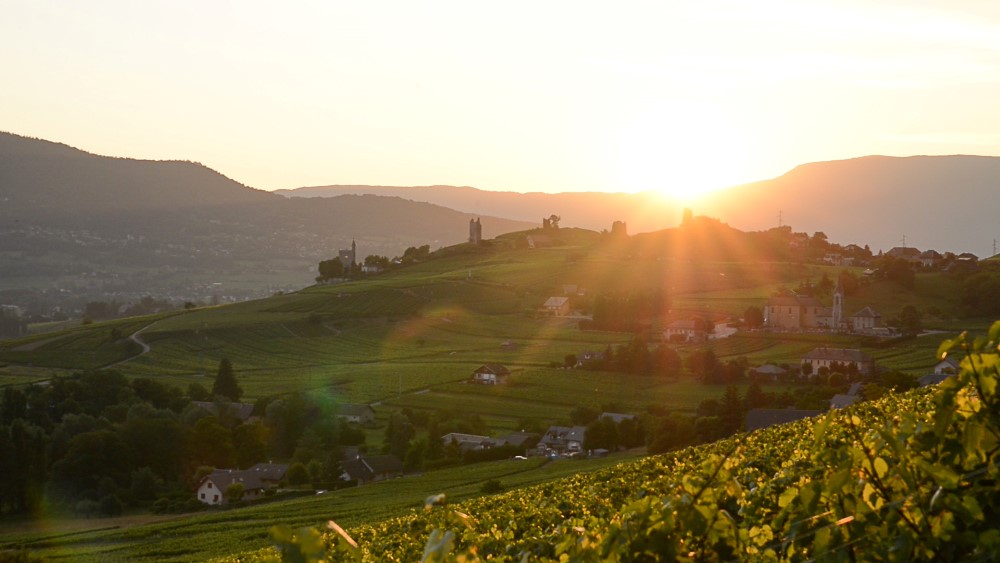Domaine Jean-Charles Girard-Madoux