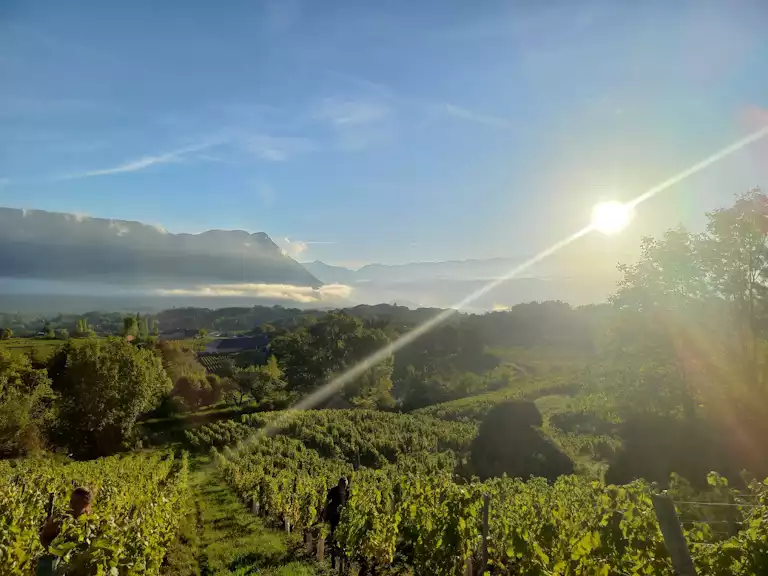 Domaine Labbé